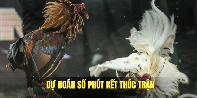 Kèo dự đoán số phút kết thúc lượt đá