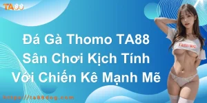 đá gà thomo