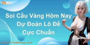 soi cầu vàng