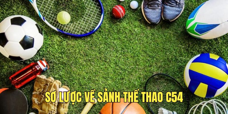 tong-quan-ve-sanh-choi-the-thao-c54
