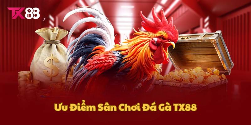 Ưu điểm khiến sảnh cược đá gà TX88 luôn thu hút