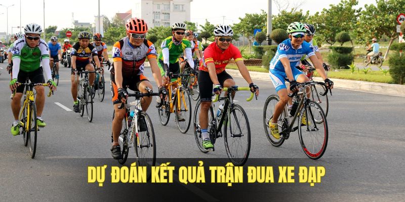the-thao-qq88-ca-cuoc-dua-xe-dap