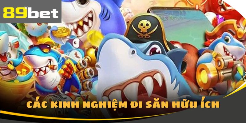 Chia sẻ các kinh nghiệm săn cá hiệu quả