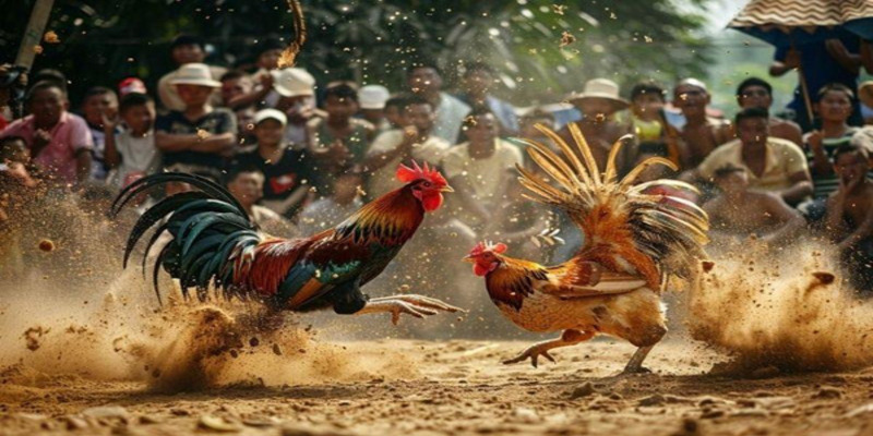 nguoi-choi-chon-thoi-gian-dat-cuoc-hop-ly-de-thang-lon