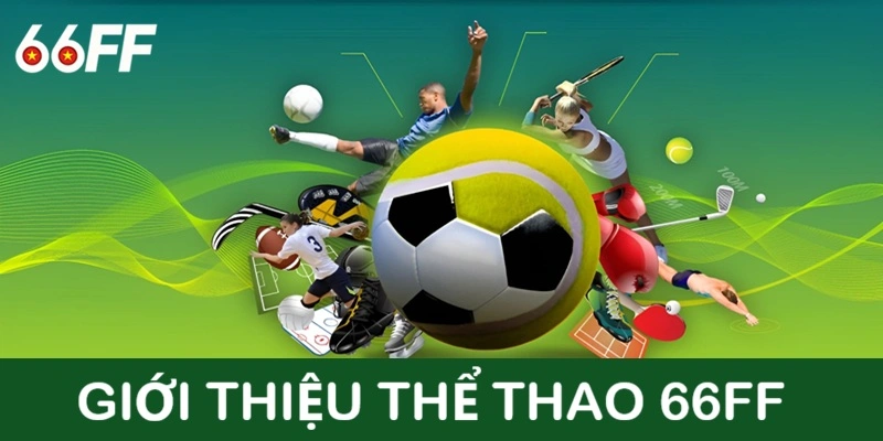 Điều cần biết về thể thao 66FF